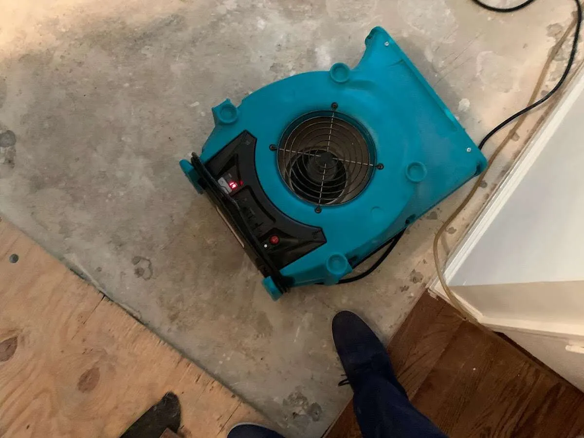Air mover drying subfloor during Leak Detection & Repair in Rensselaer